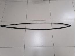 Молдинг крыши